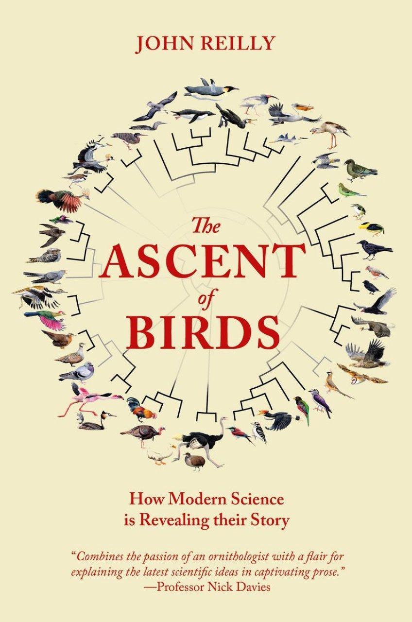 The Ascent of Birds – John Reilly