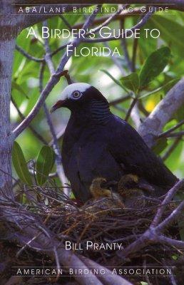 A Birder’s Guide to Florida