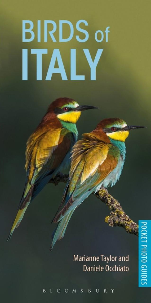 Birds of Italy – photographic pocket guide