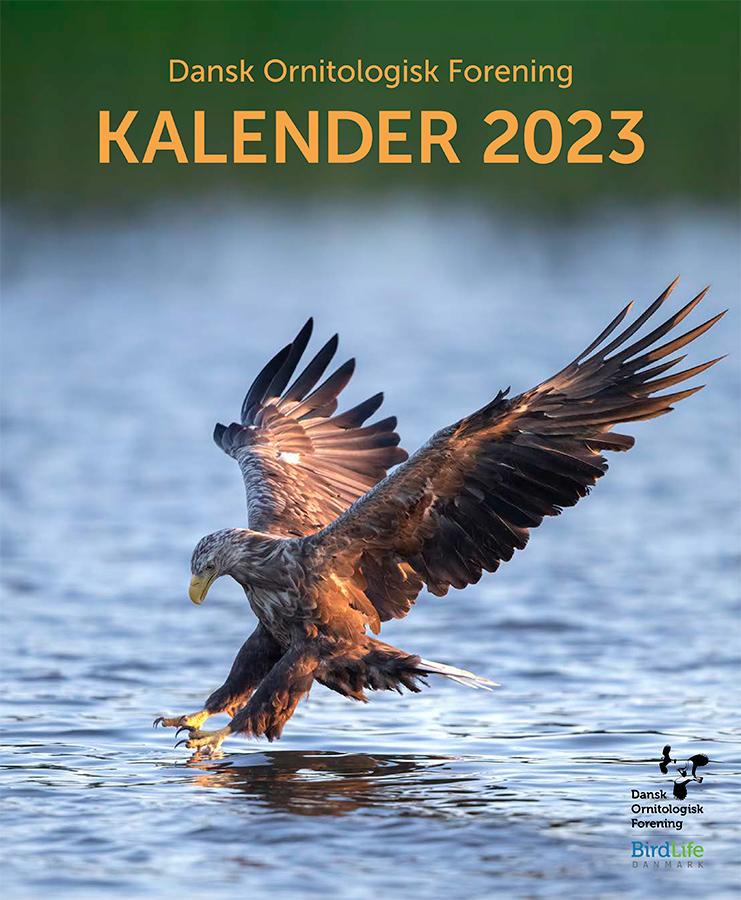 Dansk Ornitologisk Forening – Kalender 2023 – Vægkalender