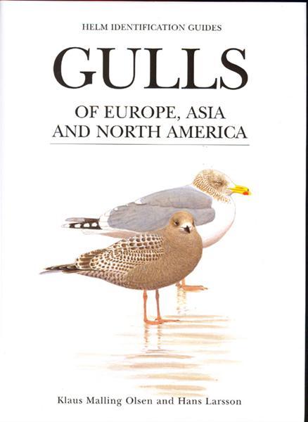Gulls of Europe, Asia and North America – Klaus Malling Olsen