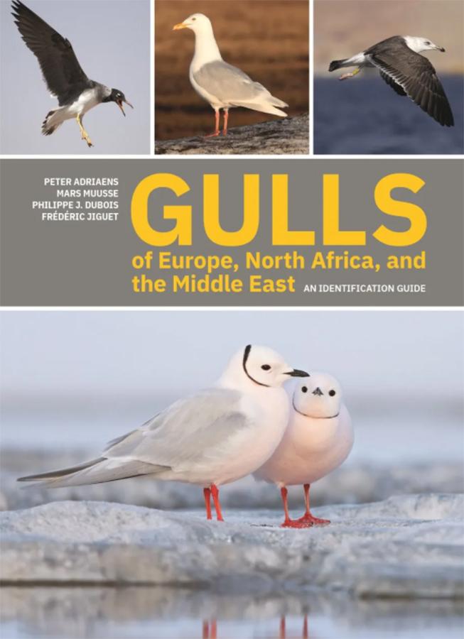 Gulls of Europe, North Africa and the Middle East – an identification guide