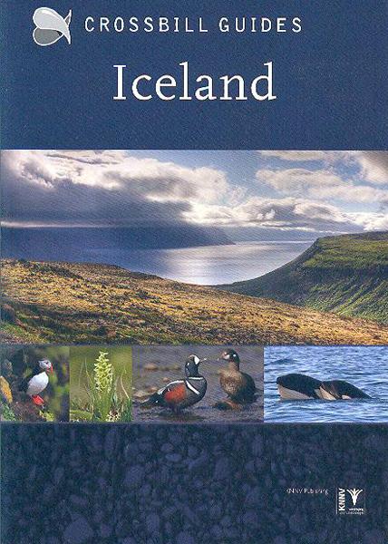 Crossbill guides: Iceland