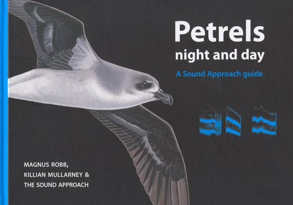 Petrels night and day
