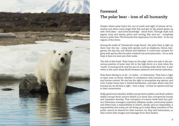 Polar Bears on the edge