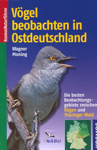 Vögel beobachten in Ostdeutschland