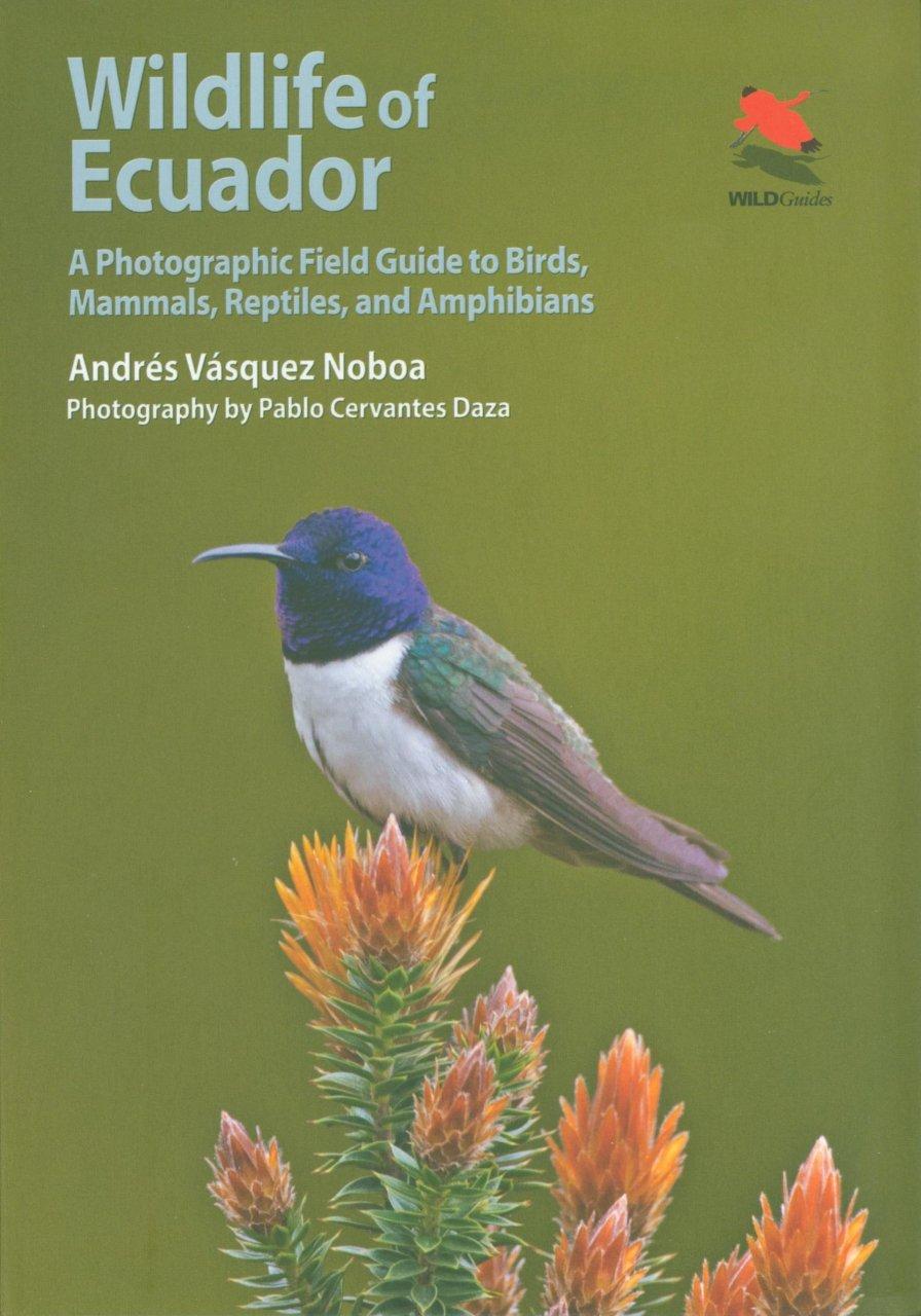 Wildlife of Ecuador – Photographic guide