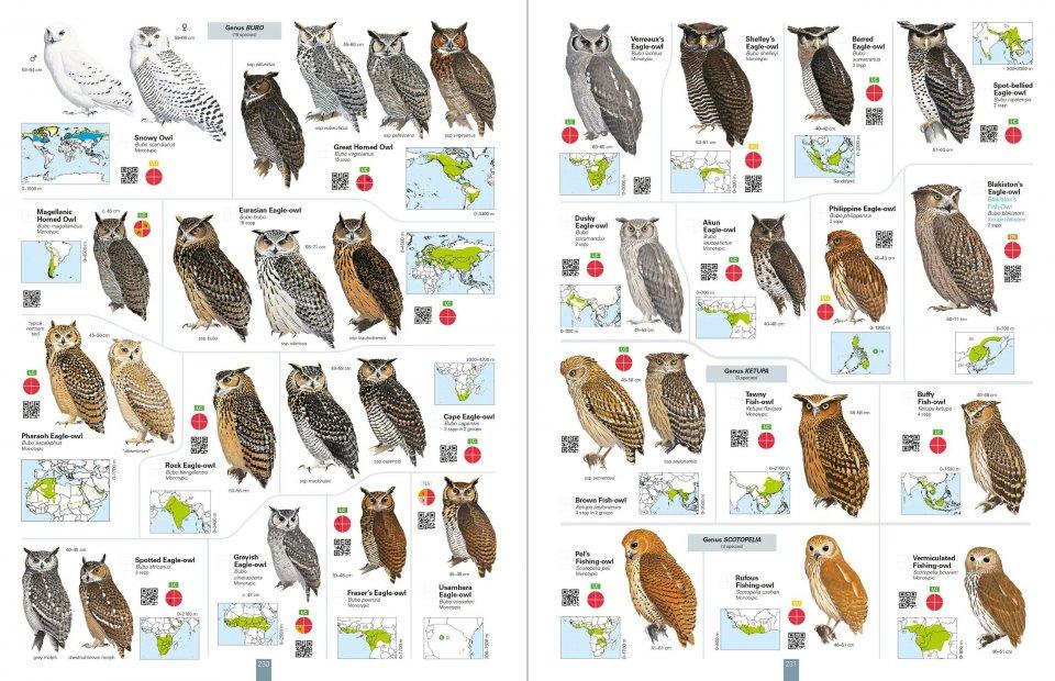 All the Birds of the World – Josep del Hoyo – Lynx
