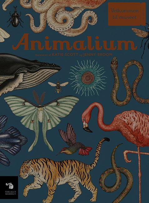 Animalium – Velkommen til Museet