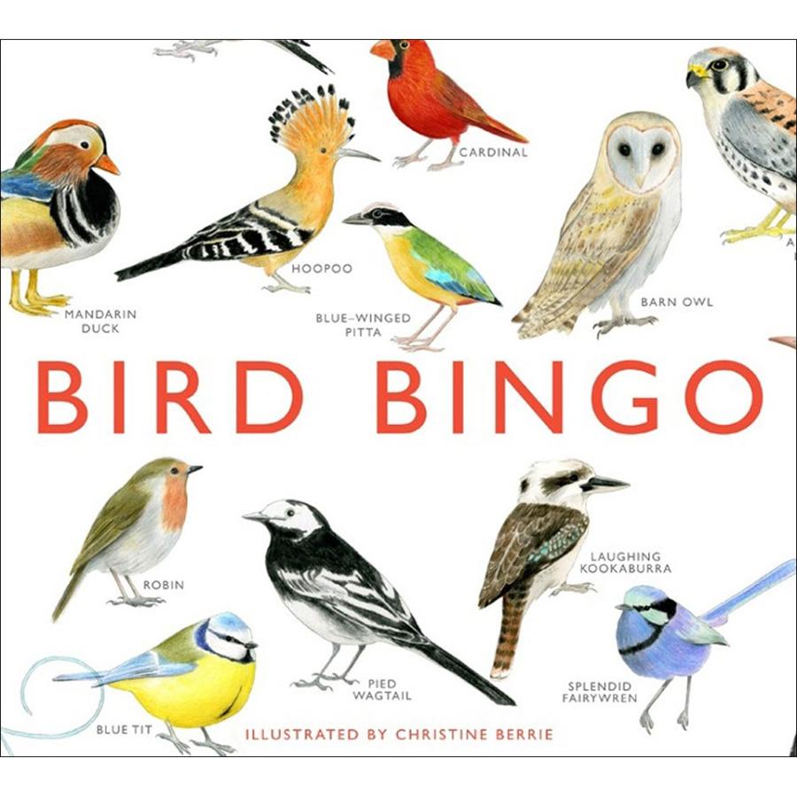 Bird Bingo – i boks
