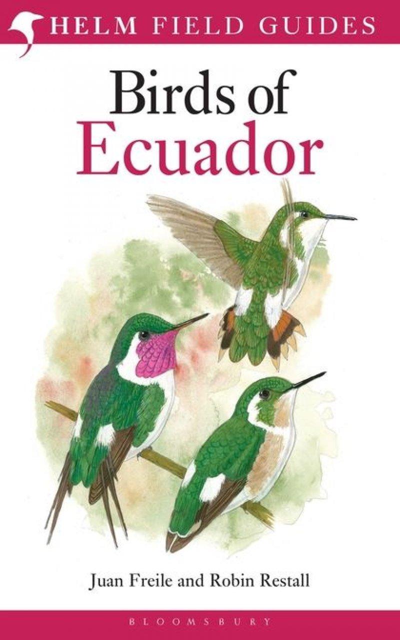 Birds of Ecuador – Freile & Restall