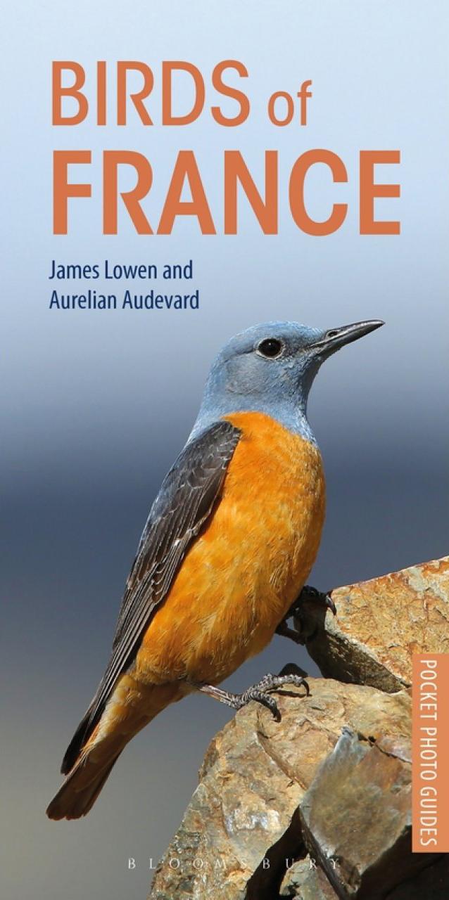 Birds of France – photographic pocket guide