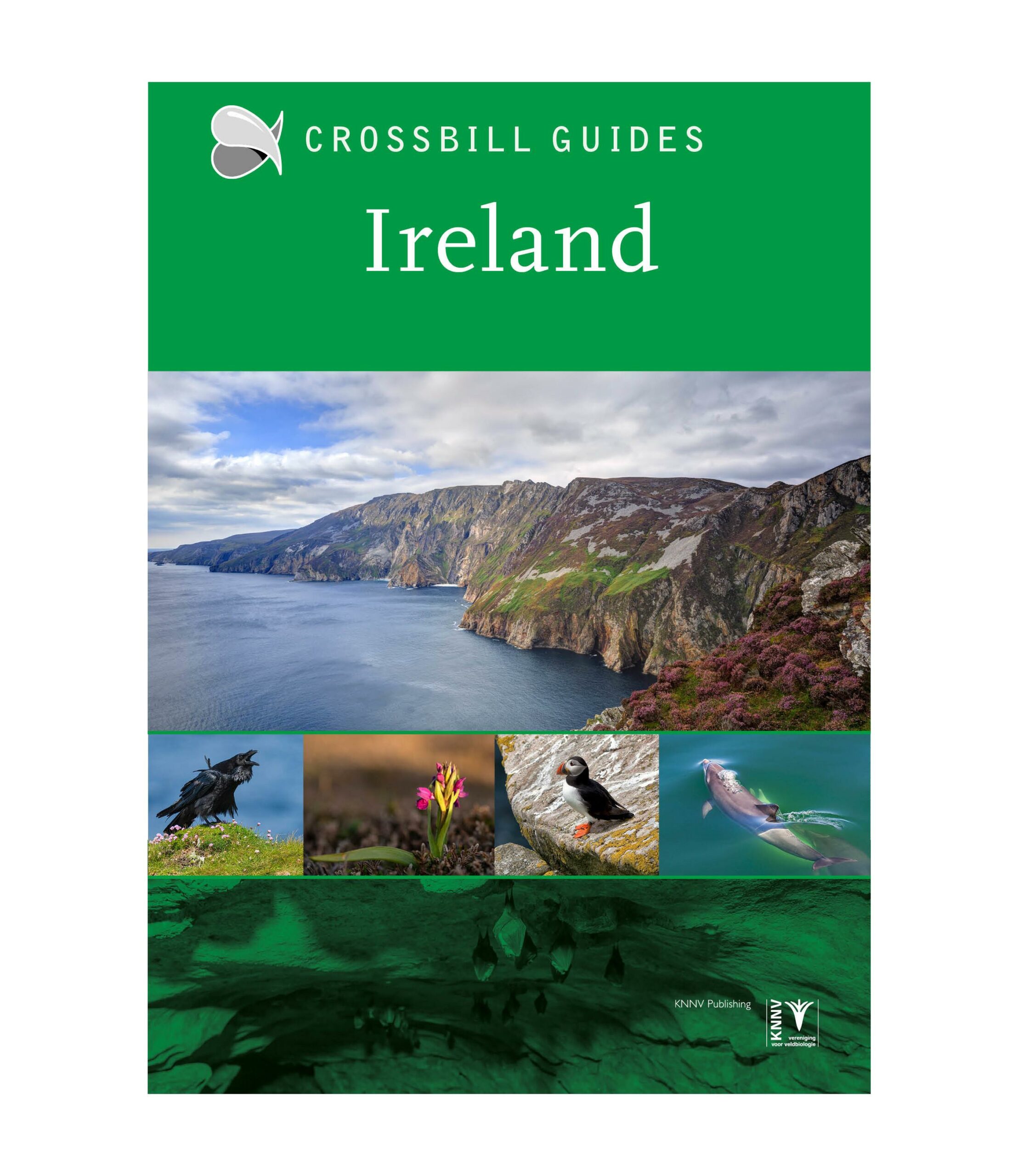 Crossbil Guide: Ireland