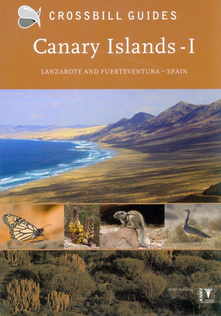Crossbill guides: Canary Island 1 – Lanzarote and Fuerteventura