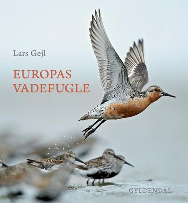 Europas Vadefugle – Lars Gejl