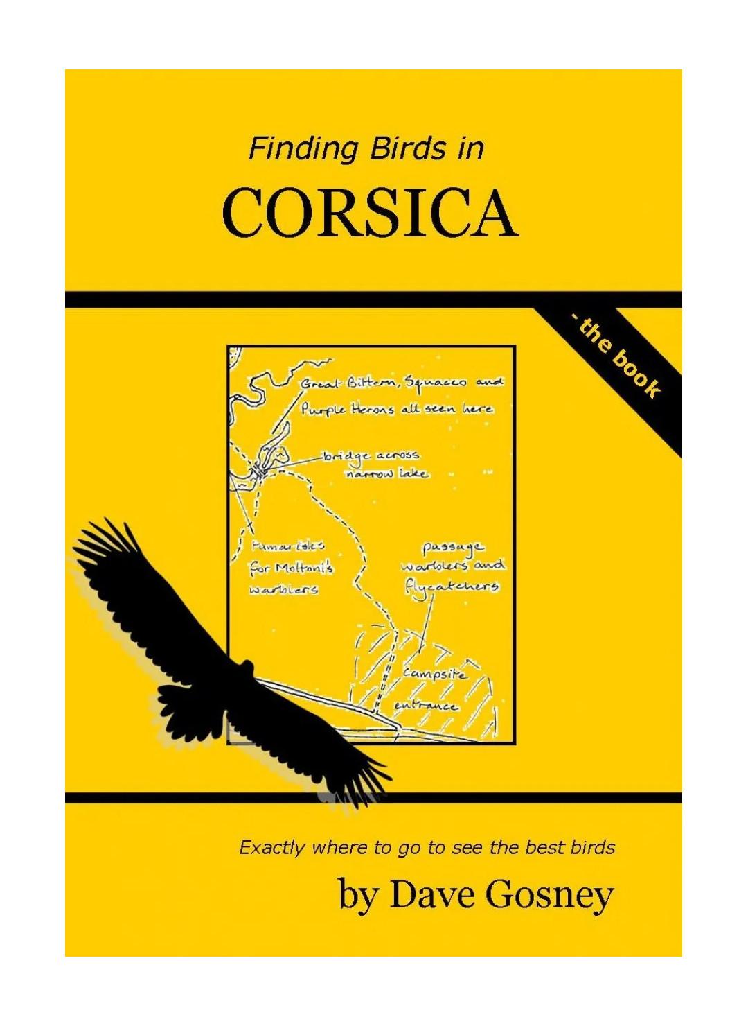 Finding Birds in Corsica – Rejseguide