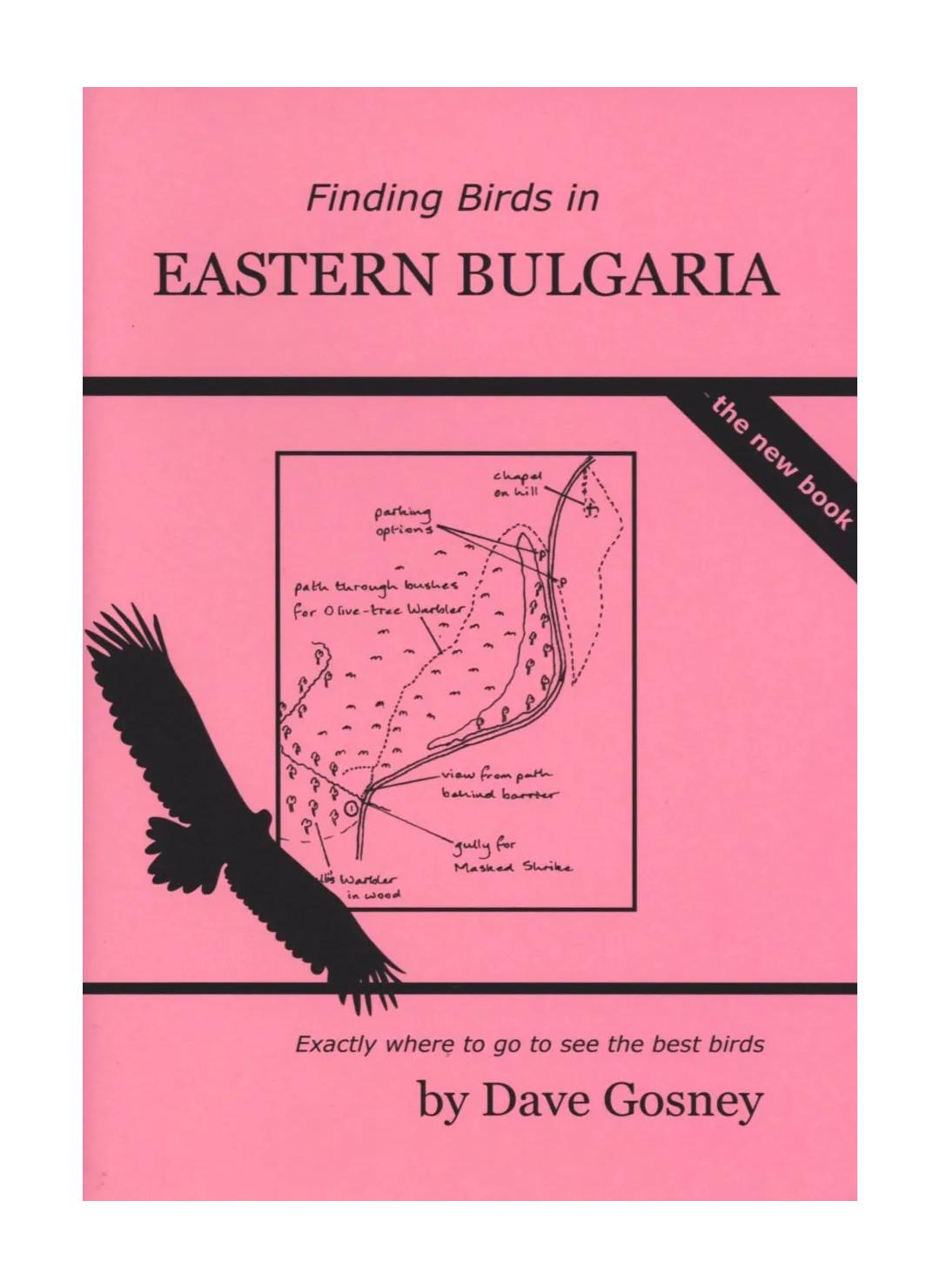 Finding Birds in Eastern Bulgaria – Rejseguide