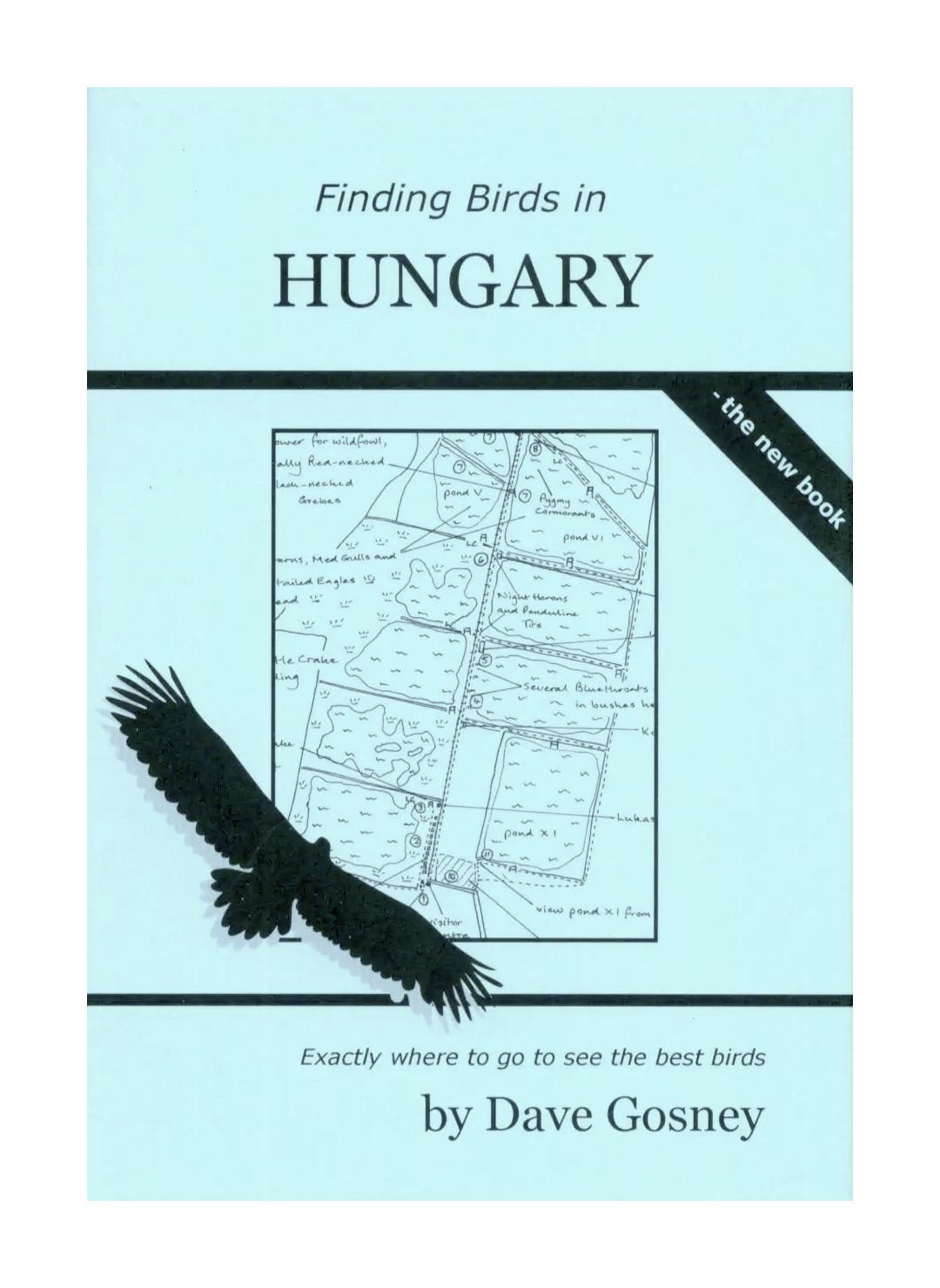 Finding Birds In Hungary – Rejseguide