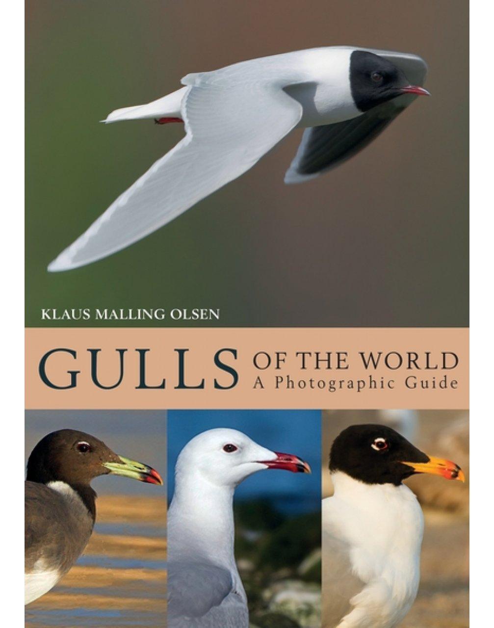 Gulls of the World – A Photographic Guide – Klaus Malling Olsen