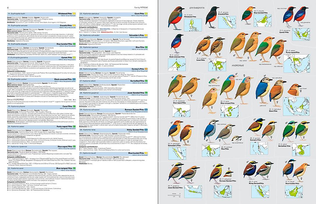 Birds of the world- illustrated checklist Volume 2 – Passerines
