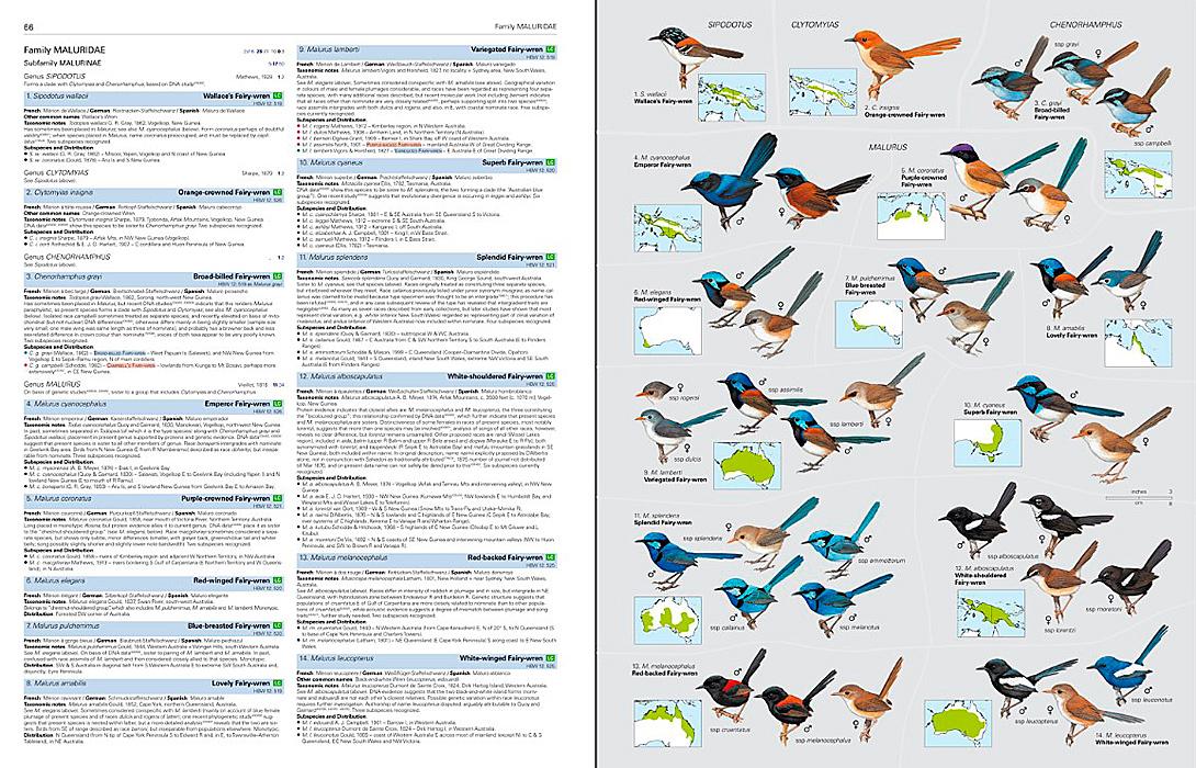 Birds of the world- illustrated checklist Volume 2 – Passerines