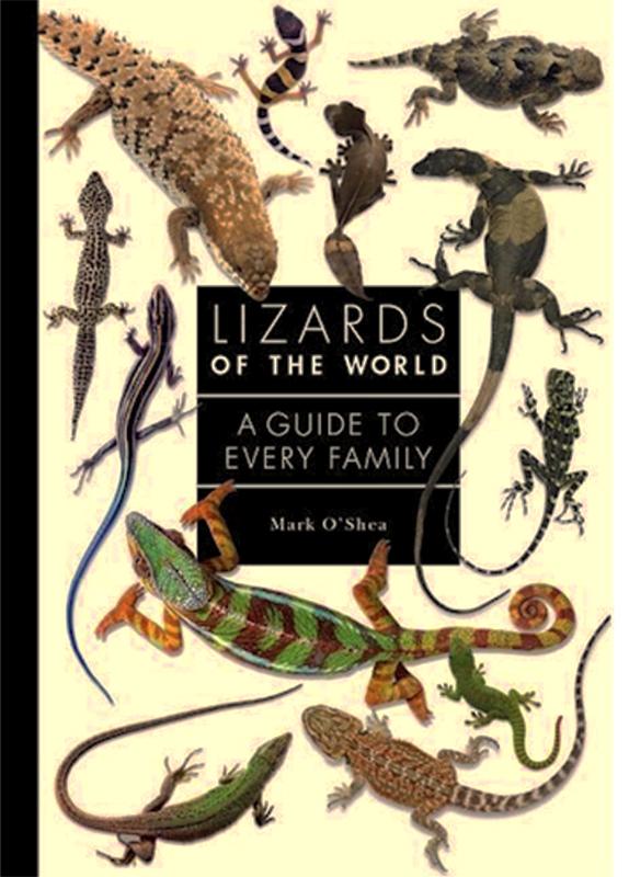 Lizards of the World – A guide to every Family