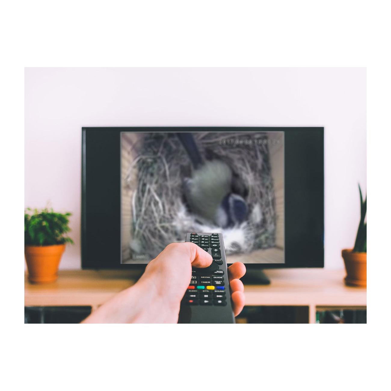 Musvitkasse med HD kamera til TV og ekstra lysindfald i FSC certificeret douglasgran