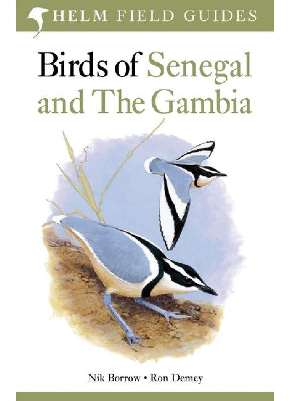 Birds of Senegal and the Gambia