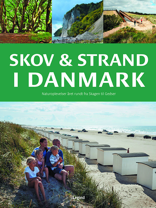 Skov og strand i Danmark – naturoplevelser året rundt fra Skagen til Gedser