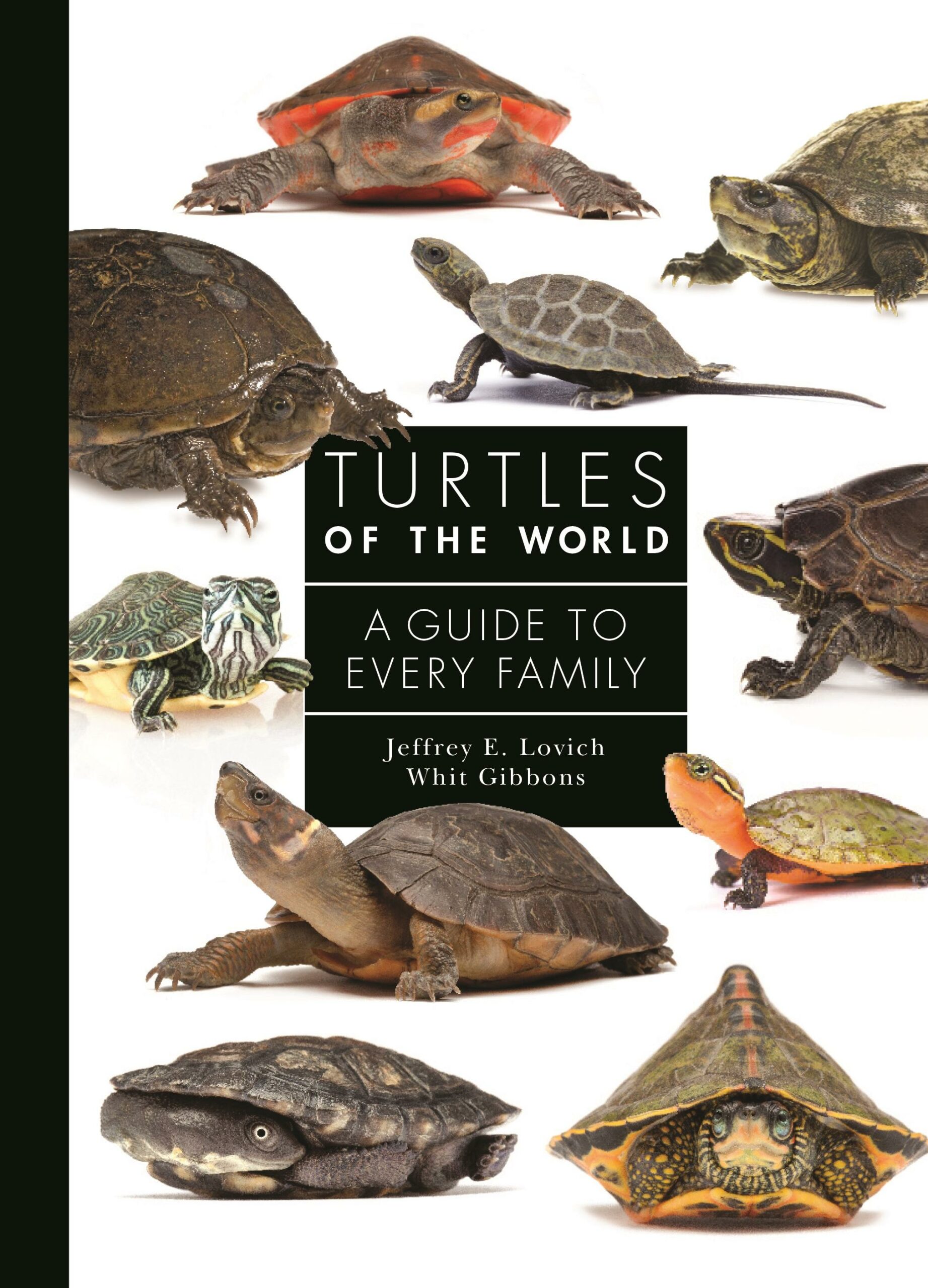 Turtles of the world: A guide to every family