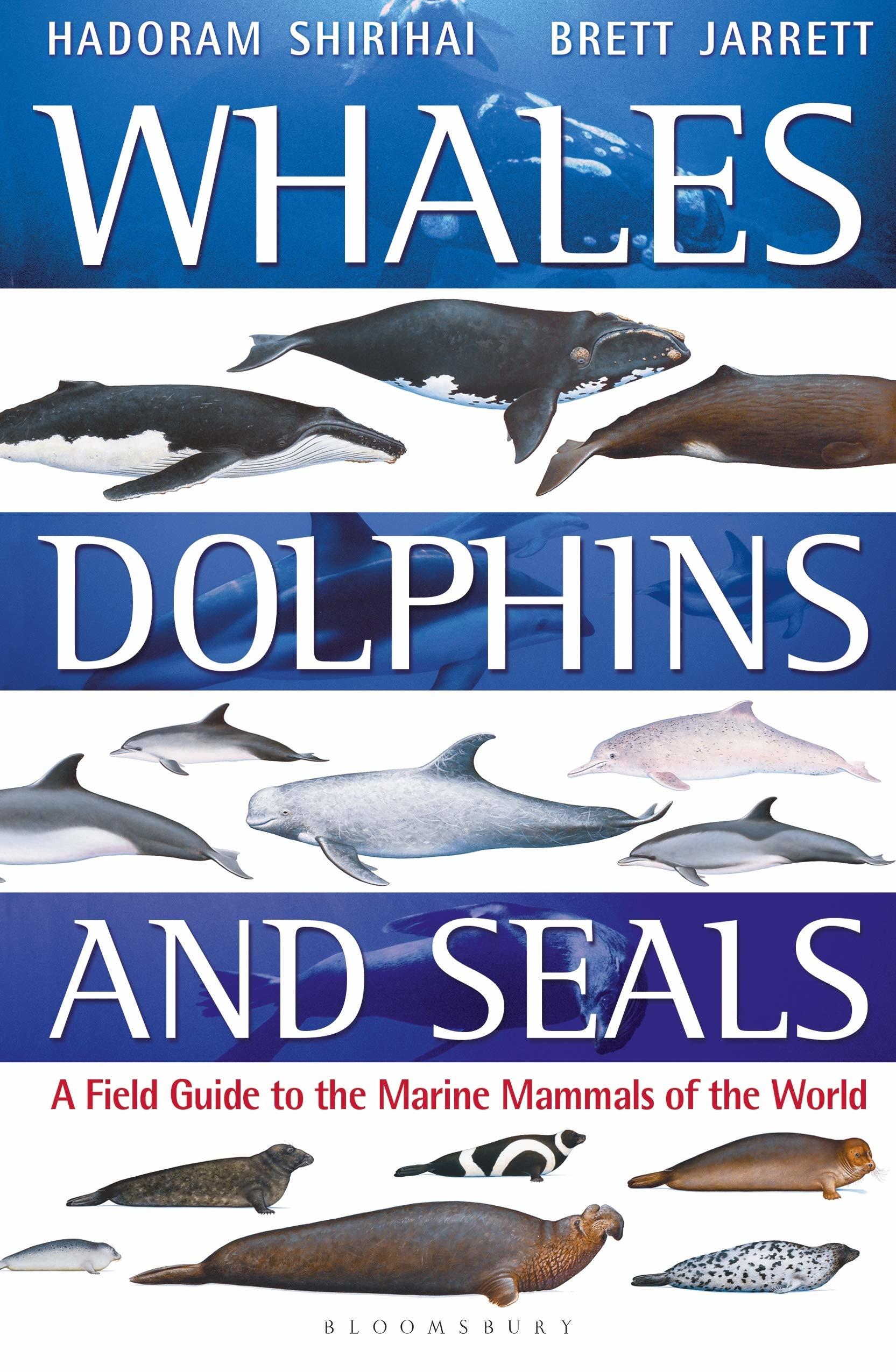 Whales, Dolphines and Seals