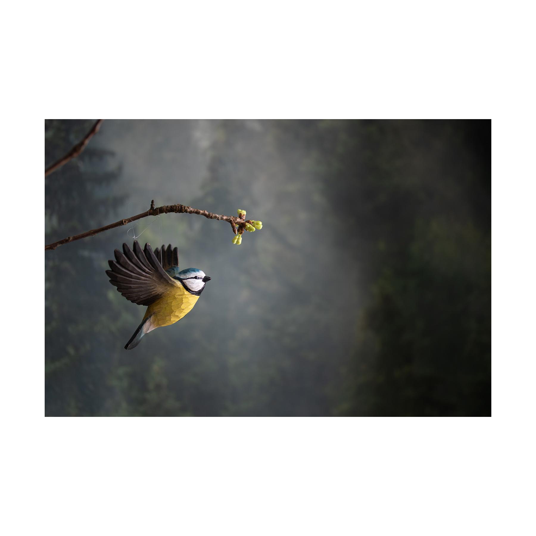 Wildlife Garden Decobird Flyvende blåmejse dekorationsfugl
